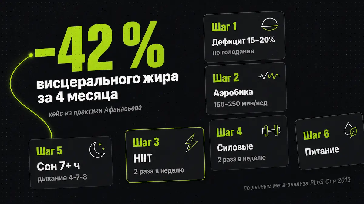 Протокол против висцерального жира Протокол 6 шагов: как убрать висцеральный жир — врач Афанасьев