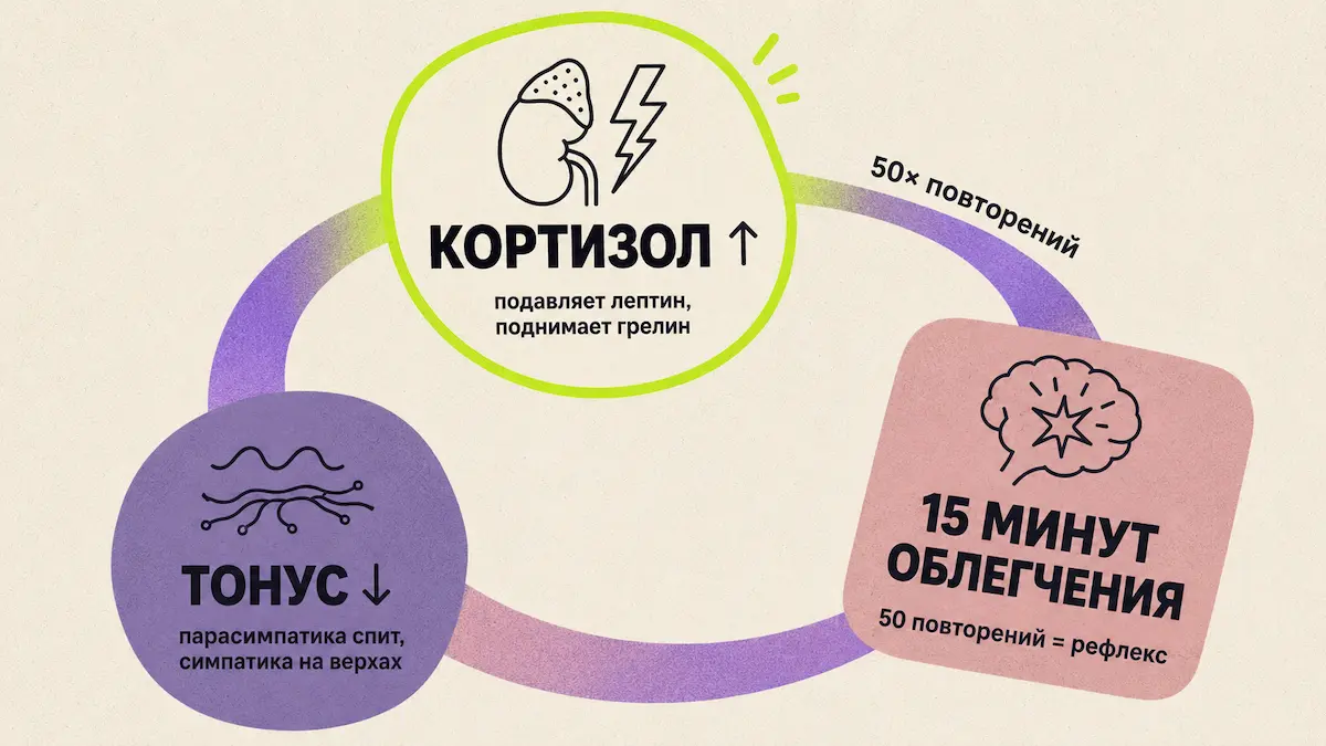 Что происходит в теле во время стрессового переедания Механизм заедания стресса: связь оси ГГН, дофамина и блуждающего нерва