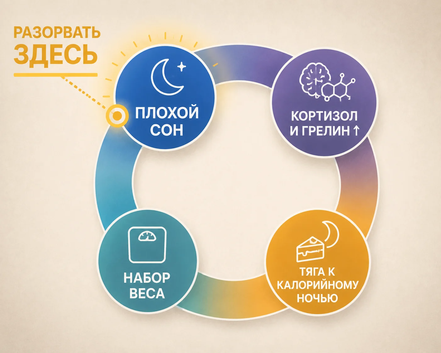 Круг «бессонница → гормоны → вес» и точка разрыва — схема