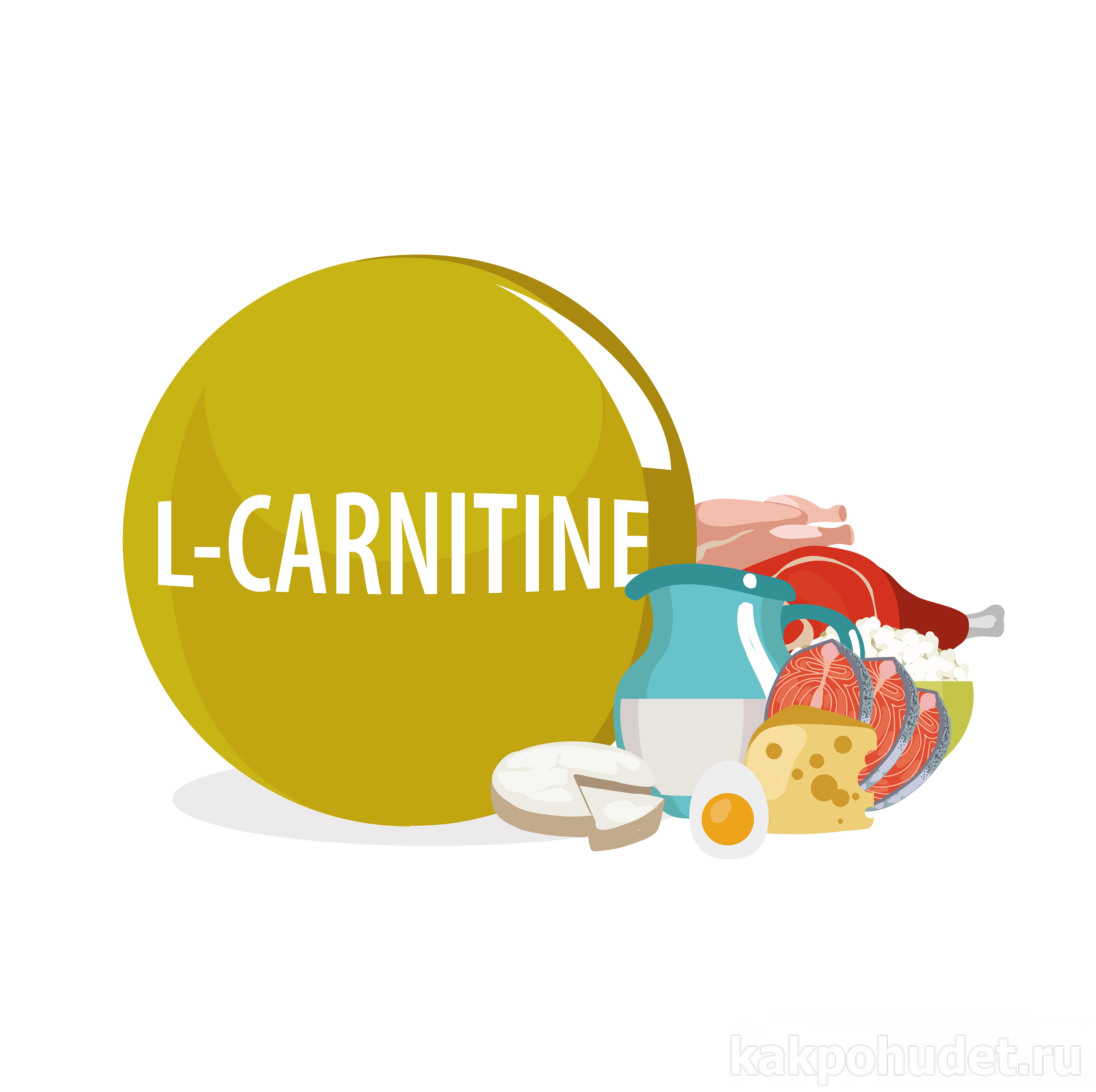 Как принимать L-карнитин для похудения – дозировки и правила